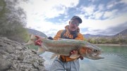 Big rainbow trout Sava river 2